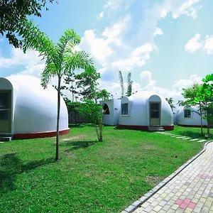 https://the-lion-kingdom-sigiriya.kandyhotelsnow.com
