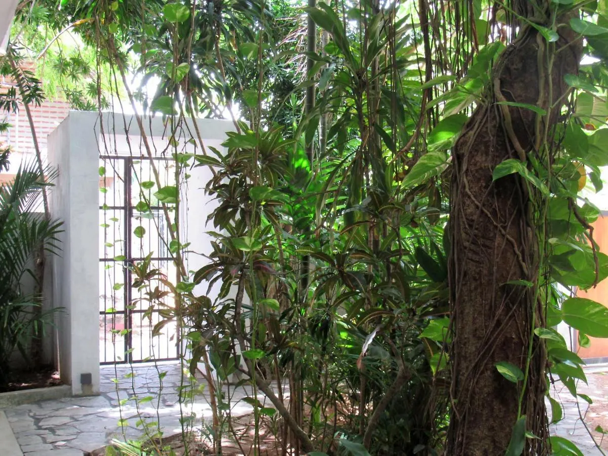 *** Guest house Sayura House Hotel Colombo Sri Lanka